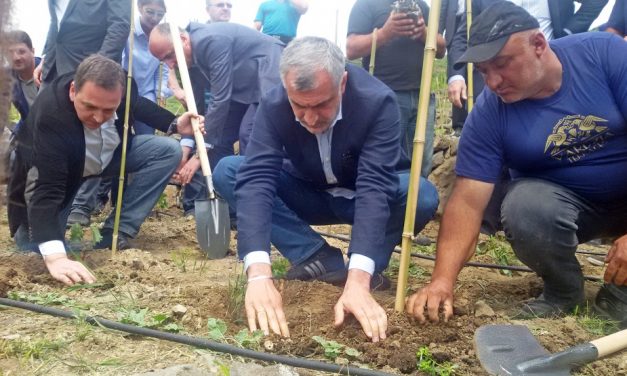 მამუკა ხაზარაძე:  „ქართულ ღვინოზე რომ ვისაუბროთ დღეს, უნდა ვიცოდეთ ჩვენი კულტურის საწყისები“