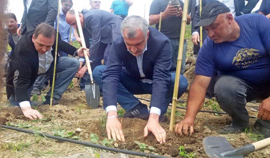 მამუკა ხაზარაძე:  „ქართულ ღვინოზე რომ ვისაუბროთ დღეს, უნდა ვიცოდეთ ჩვენი კულტურის საწყისები“